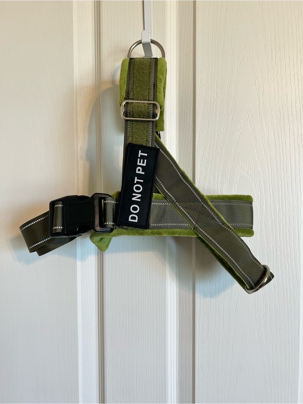 Dog Harness & Leash